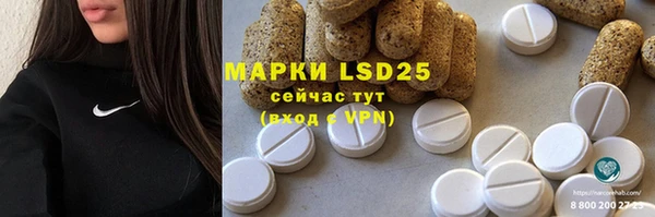 крисы Алексин