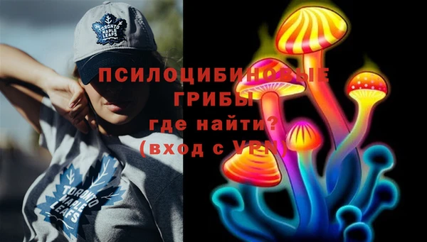 крисы Алексин