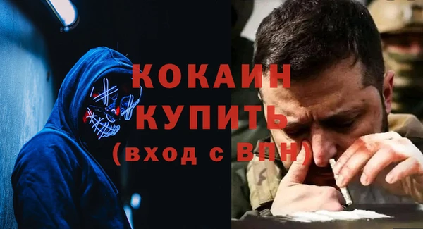 крисы Алексин